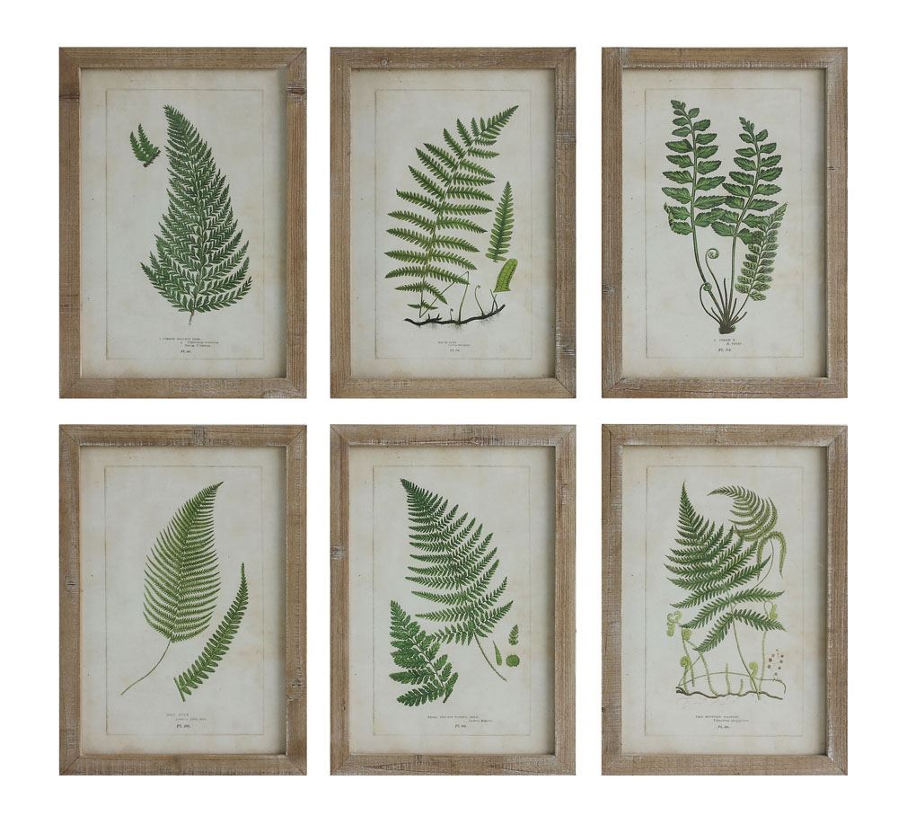 Fern Fronds - Set of 2
