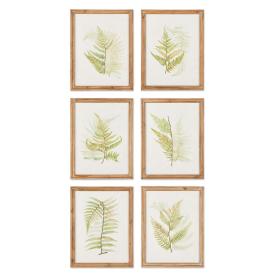 Fern Study - Sets of 2