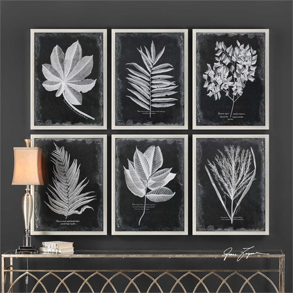 Foliage Prints - Sets of 2
