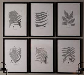 Gray Tone Fern Prints - set/2