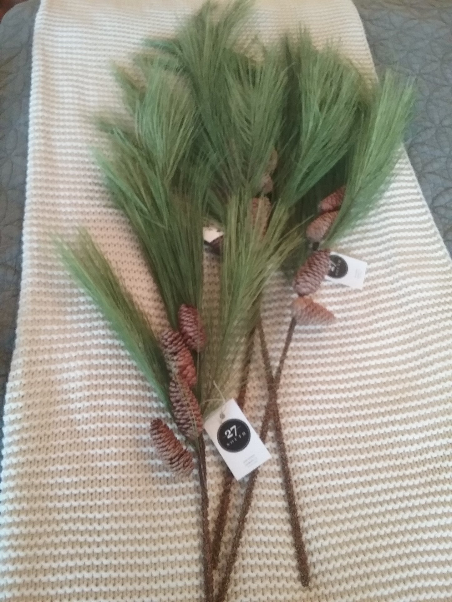 Light Pine Stem
