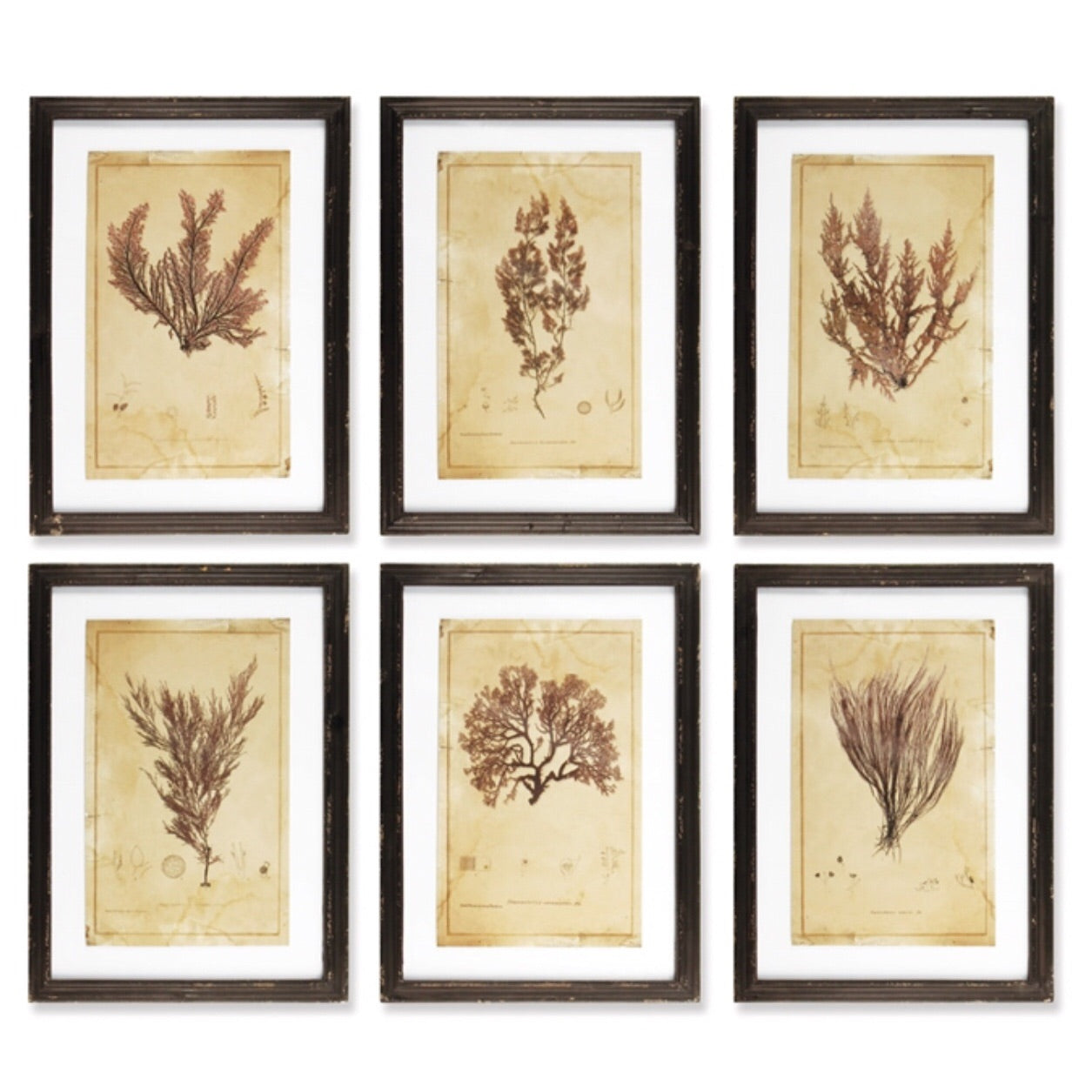 Andros Prints