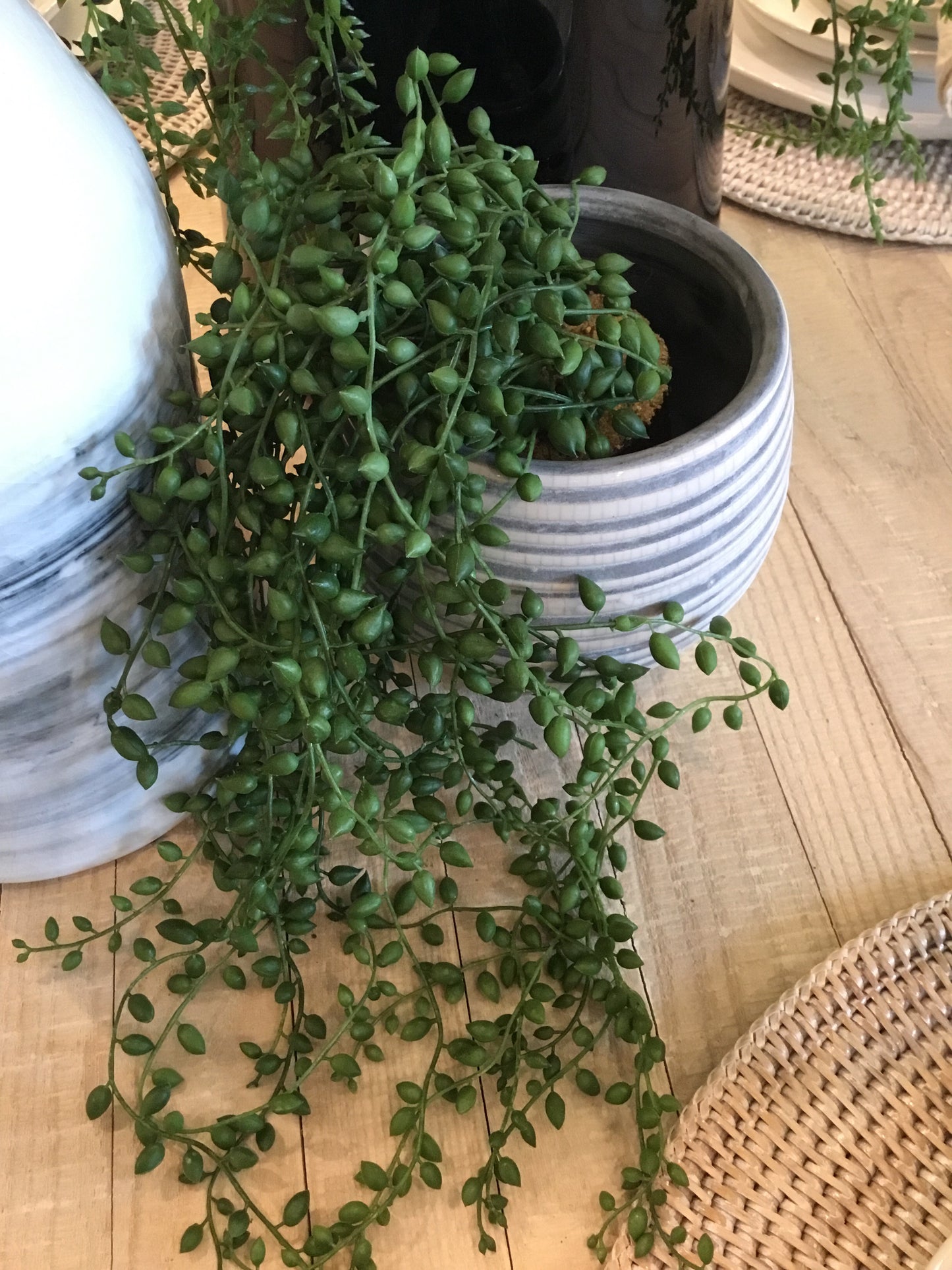 String of Pearl Drop In