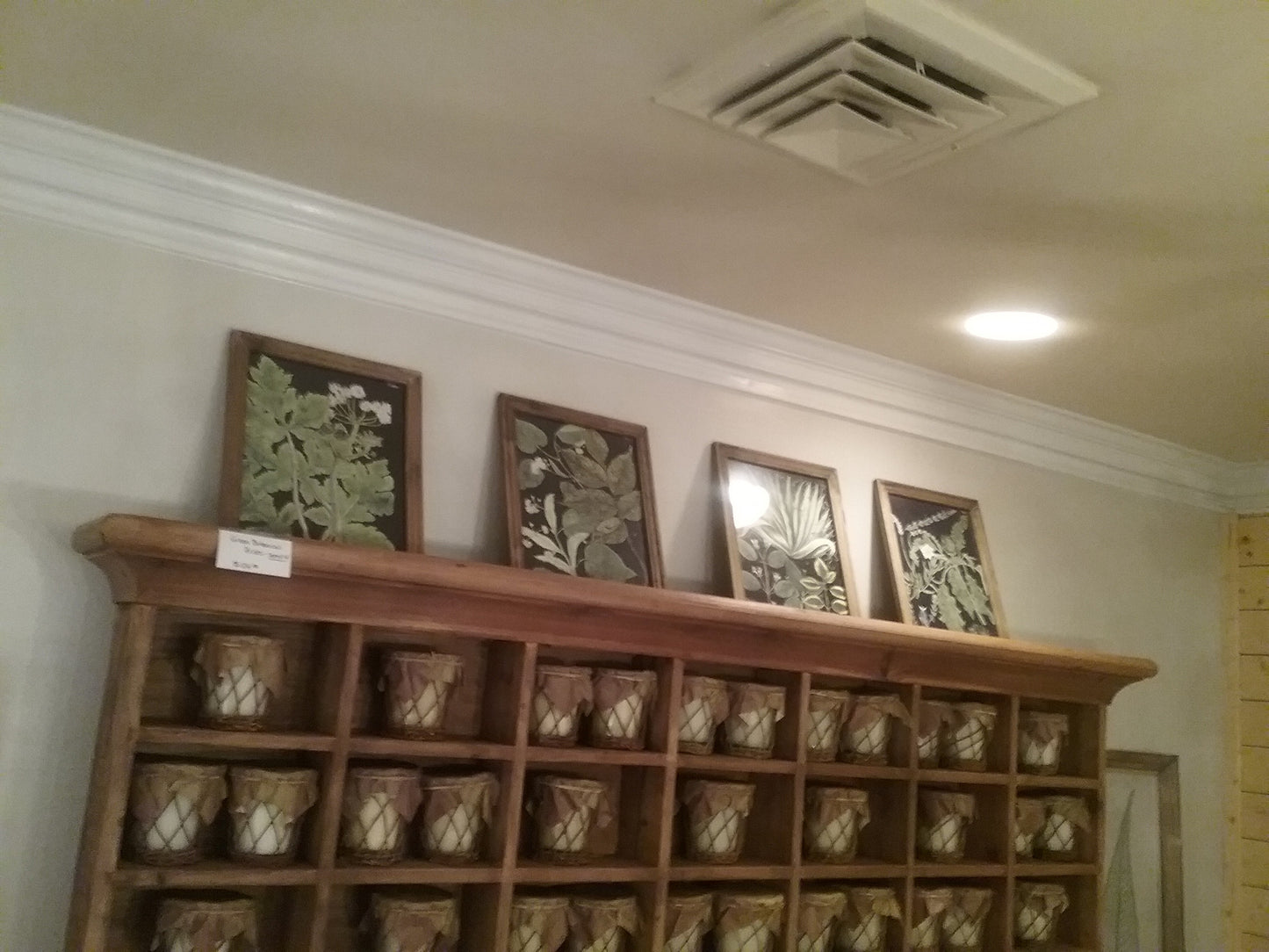Green Botanical Prints S/4