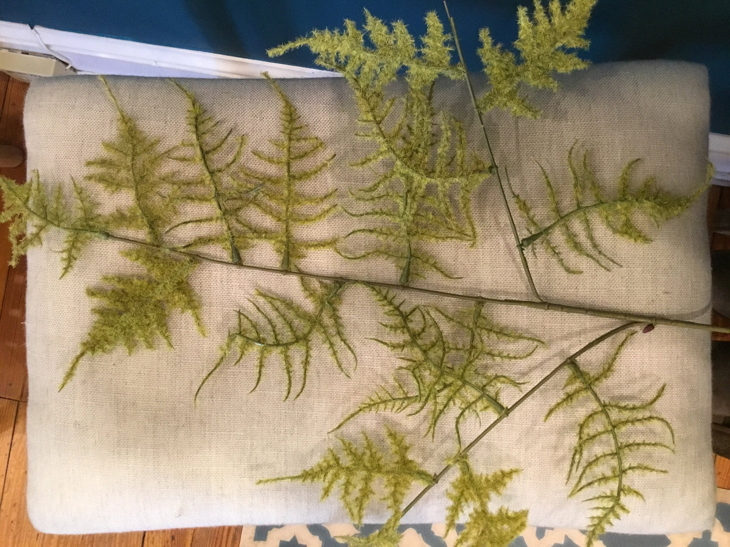 Mossy Fern