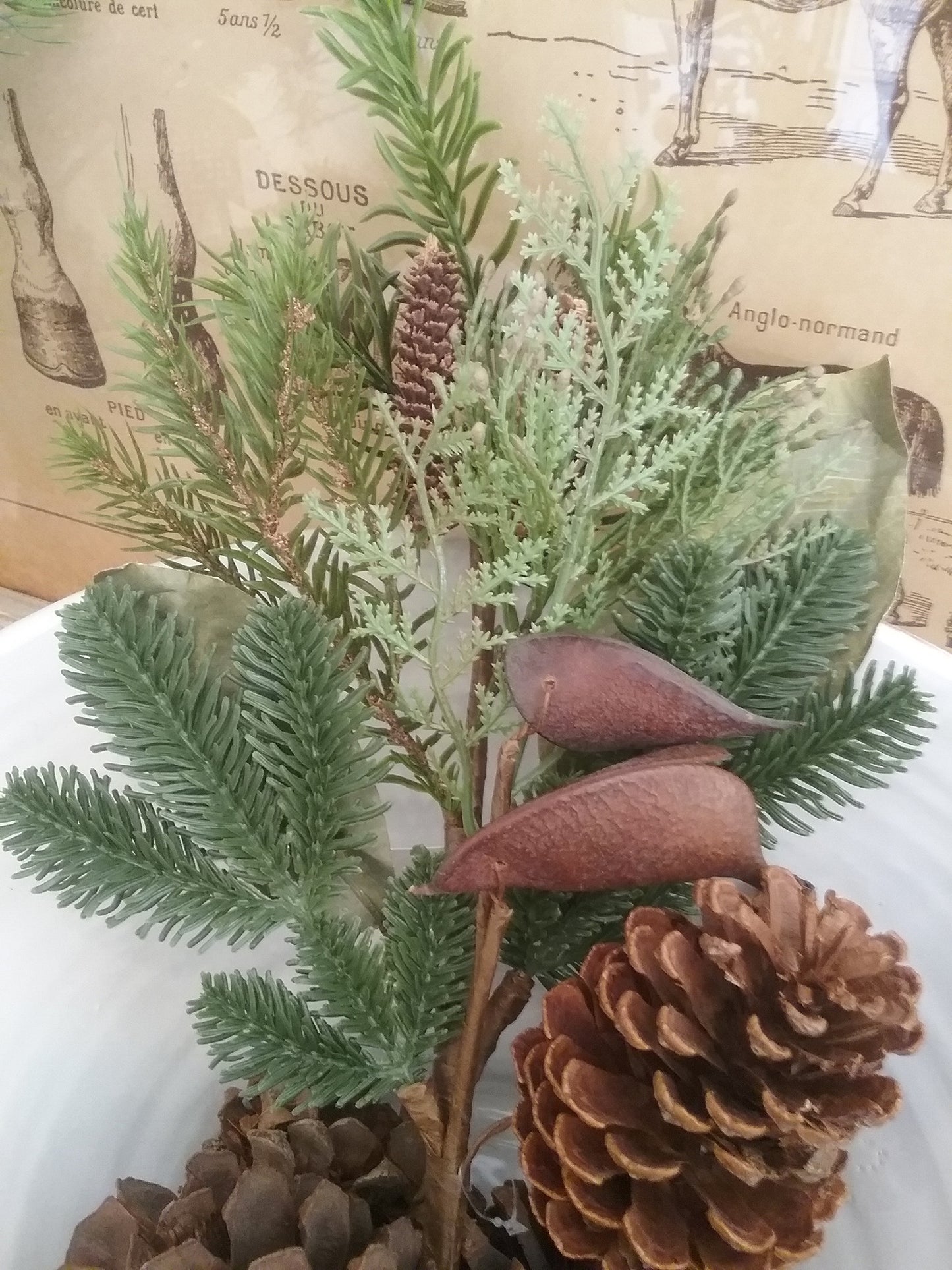 Magnolia and Pine Pick