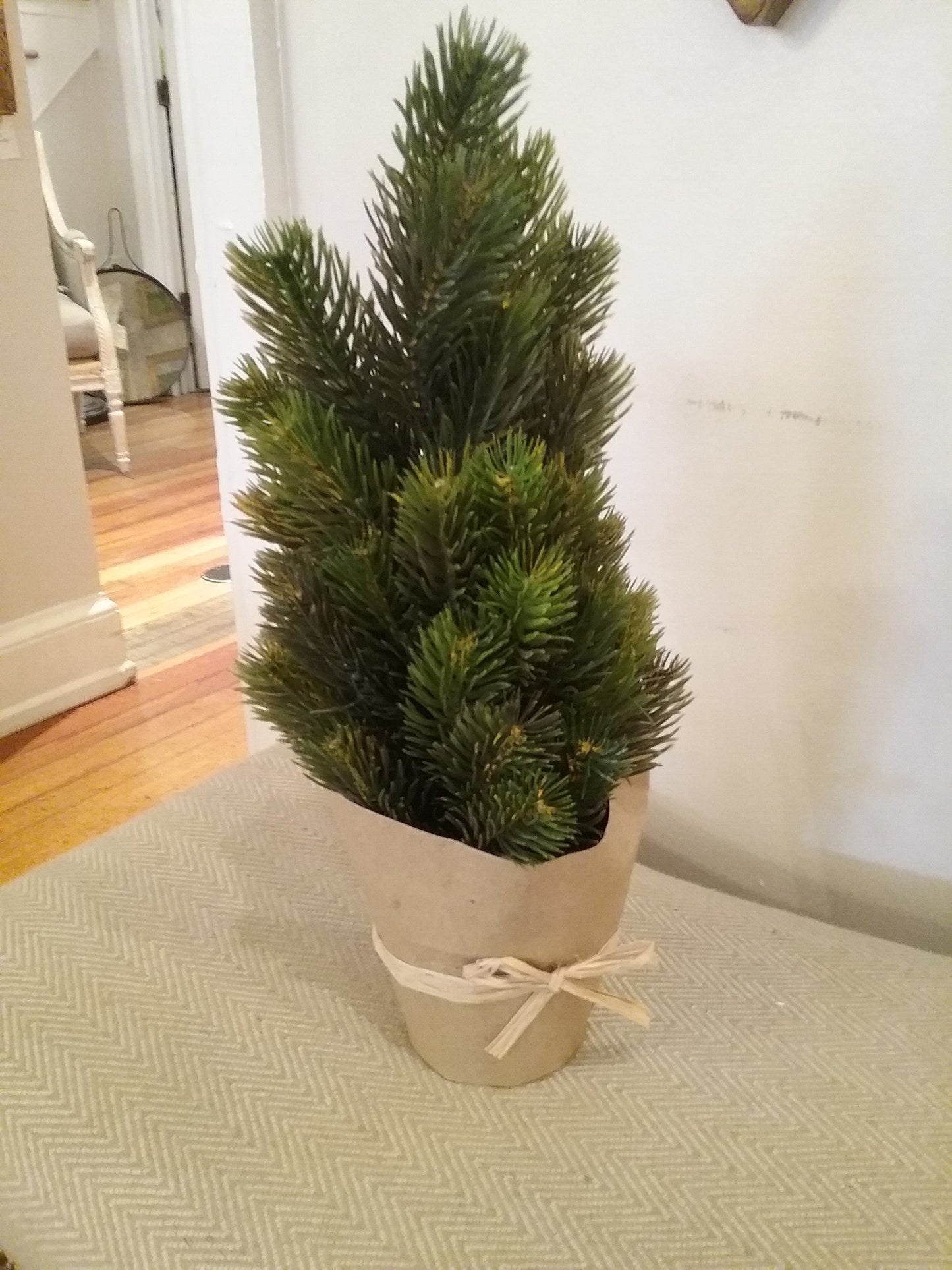 Mini Pine Tree
