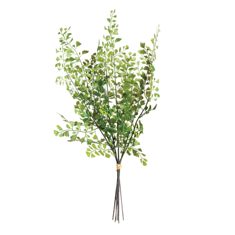 Maidenhair Fern Stems - Bundle of 7