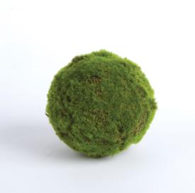 Moss Ball
