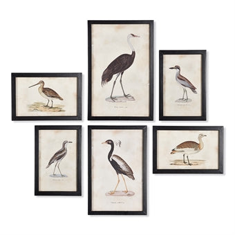 Waterfowl Gallery Art, Sold Individually