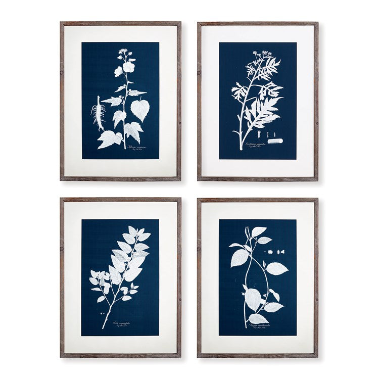 Cyano Botanical Leaf (Set of 2)