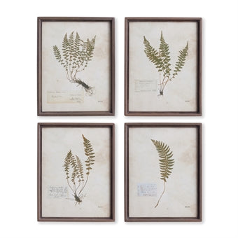 Petite Frond Print- Sold Individually