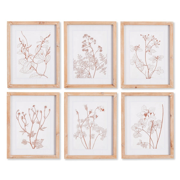 Botanicals in Blush Prints -Sold individually