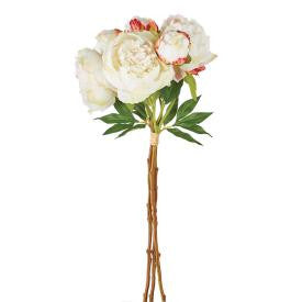 Peony - Bundle/3