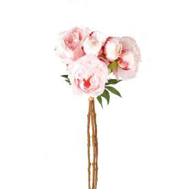 Peony - Bundle/3