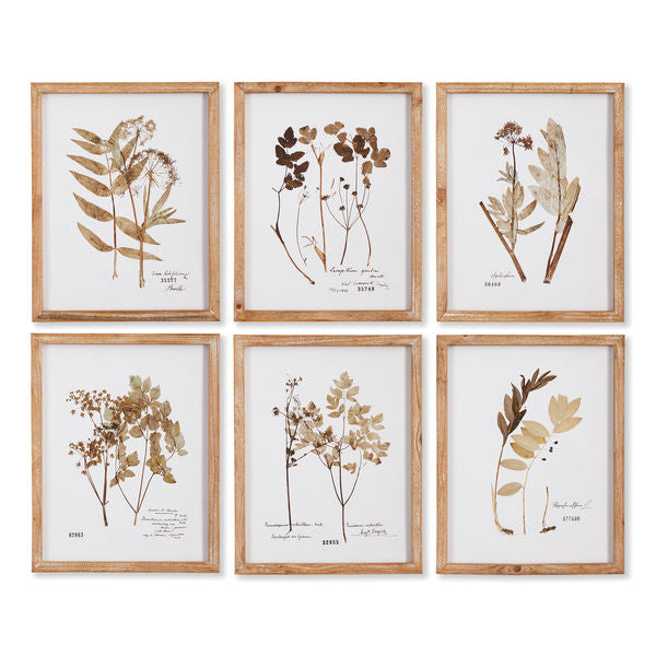 Pressed Leaf Study (Set of 2)