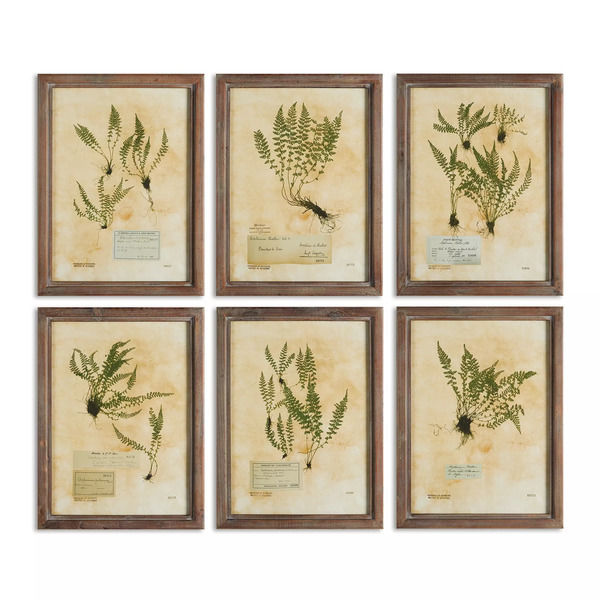 Pressed Fern Print Set of 2