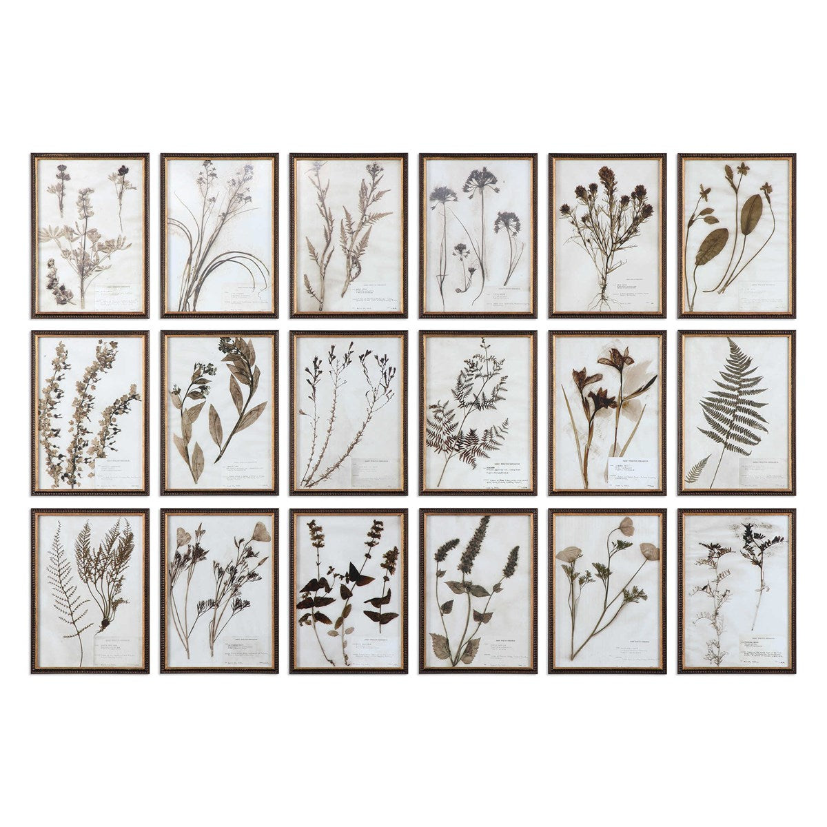 Botany Print