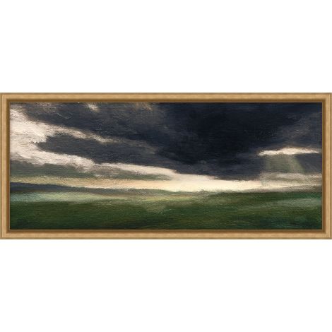 "Field Capture 2" 25 x 11