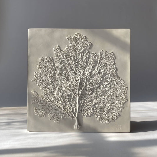 Sea Fan III