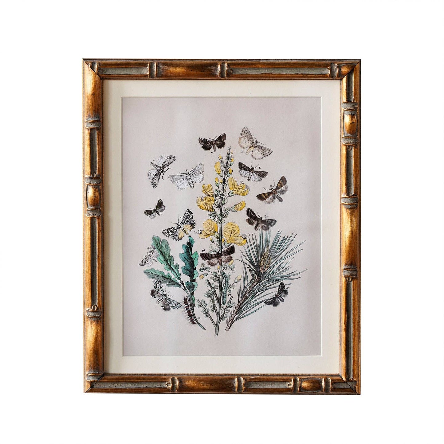 Burnley Matted Frame