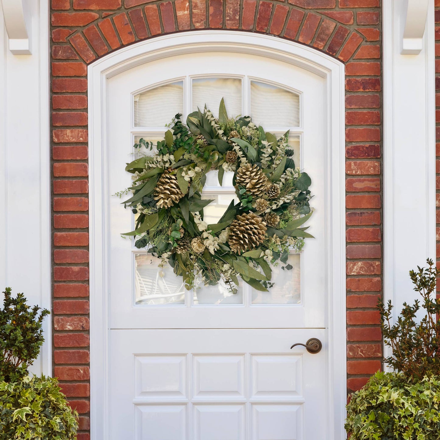 Eucalyptus Winter Wreath
