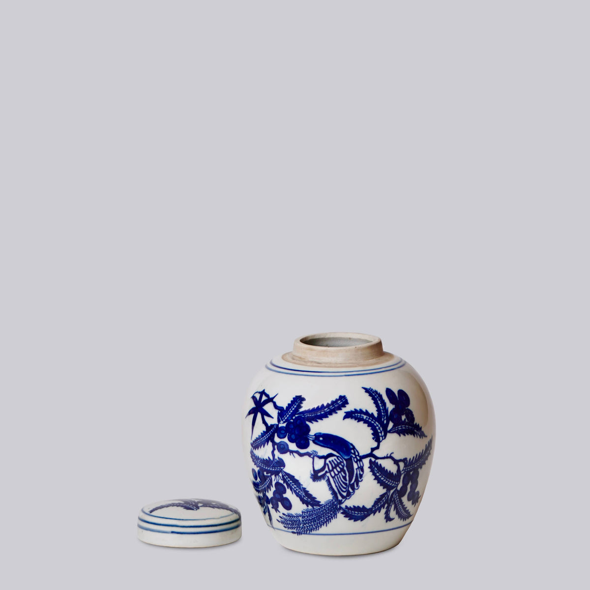 Blue and White Porcelain Bird and Flower Round Jar