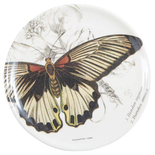 Specimen Coasters Set of Four