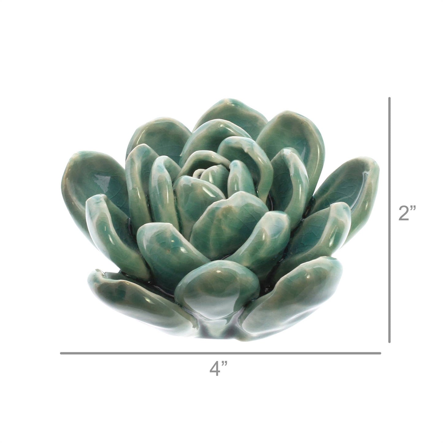 Ceramic Succulent - Med