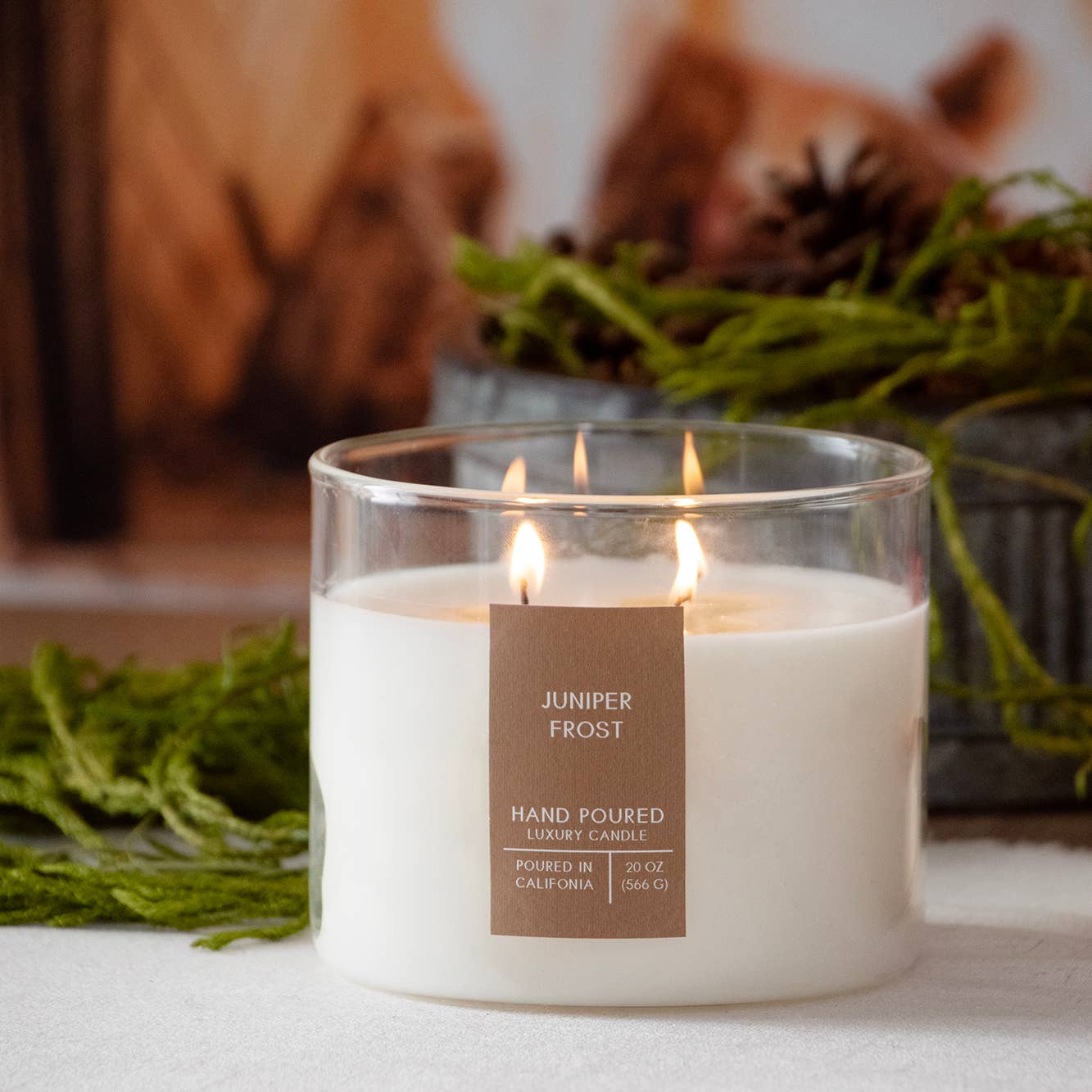 Juniper Frost Botanical Tie 20 oz. Candle with Lid