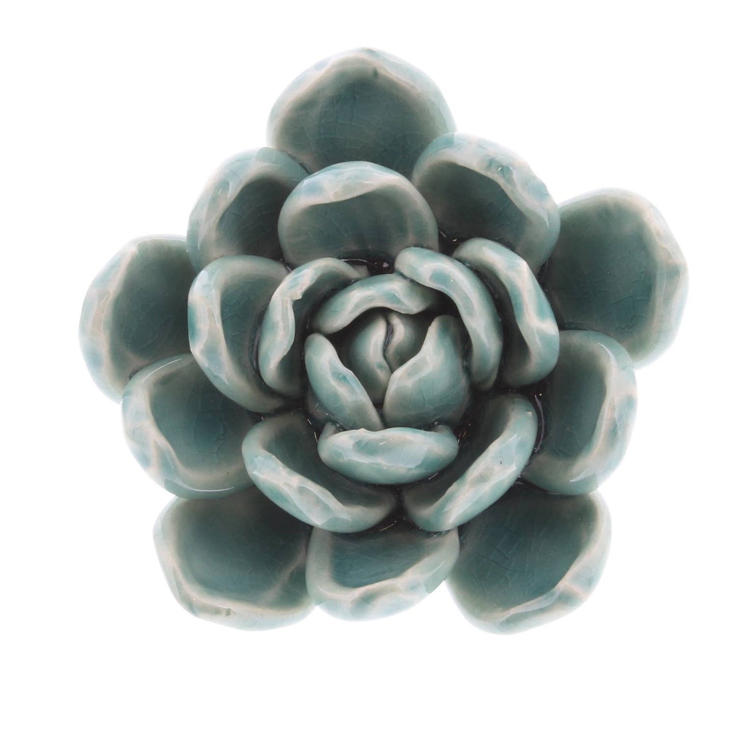 Ceramic Succulent - Med