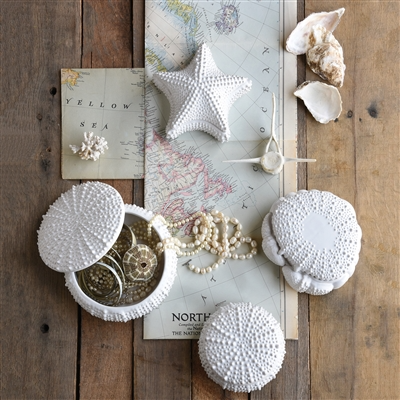 Urchin Ceramic Box - Lrg - White