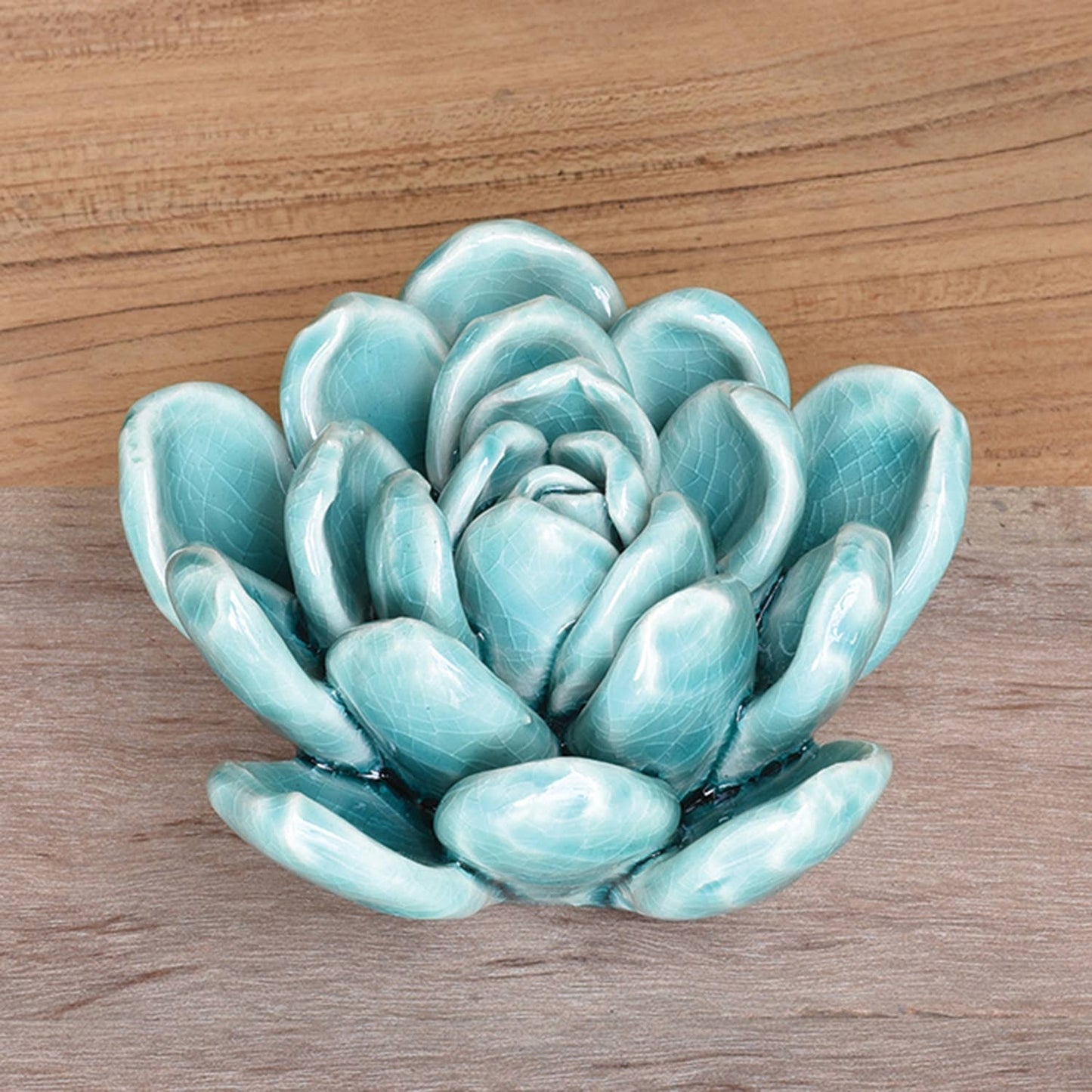 Ceramic Succulent - Med