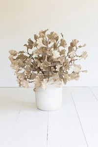Botanica #3558