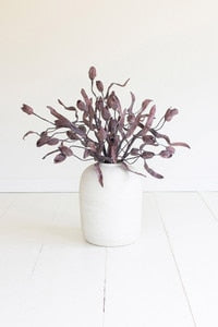 Botanica #2758