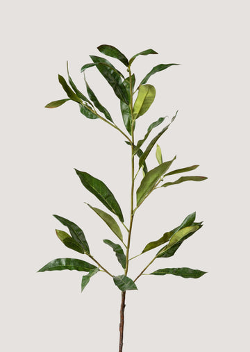 Artificial Coffee Leaf Branch - 39"