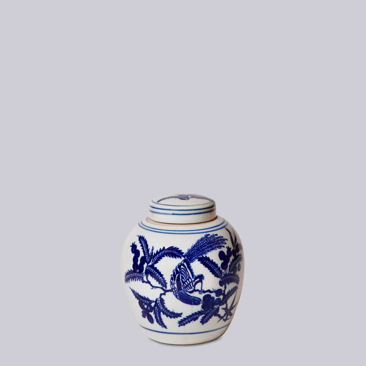 Blue and White Porcelain Bird and Flower Round Jar