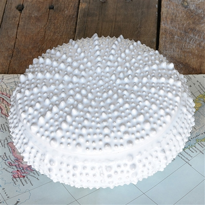 Urchin Ceramic Box - Lrg - White