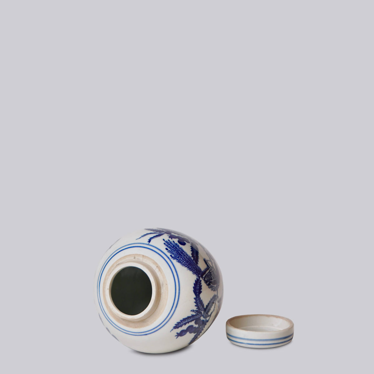 Blue and White Porcelain Bird and Flower Round Jar