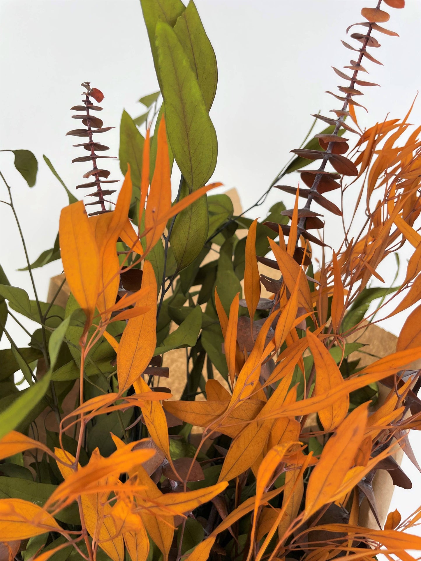 Autumn Eucalyptus Bundle - Olive