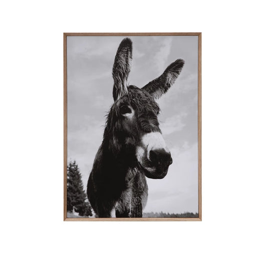 Donkey - Framed Canvas