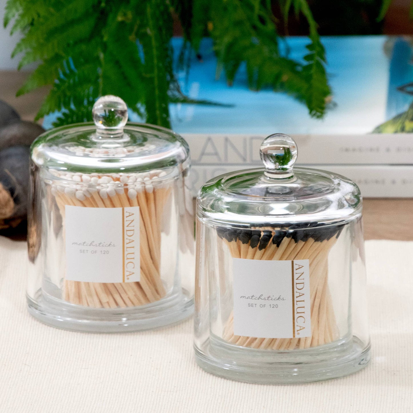 Glass Jar with Lid & 120 Wooden Black Matches