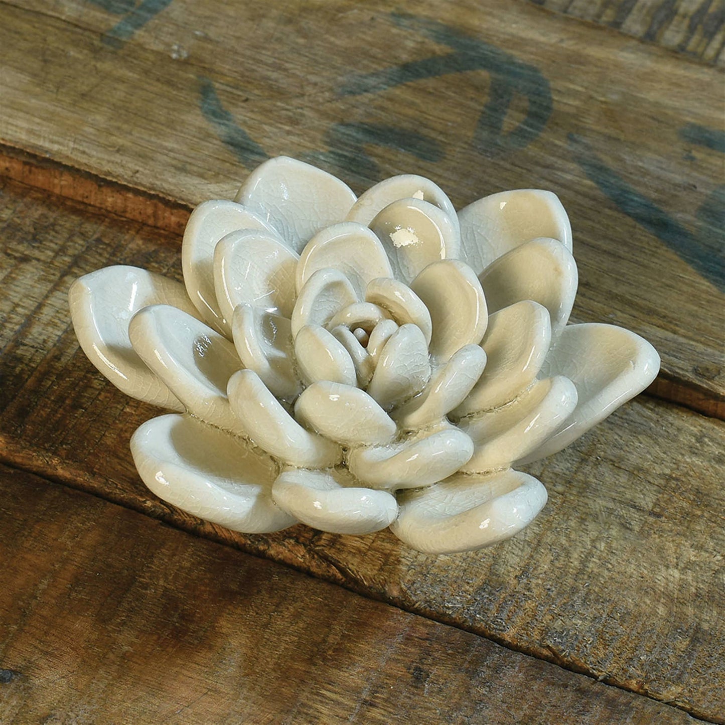 Ceramic Succulent - Cream