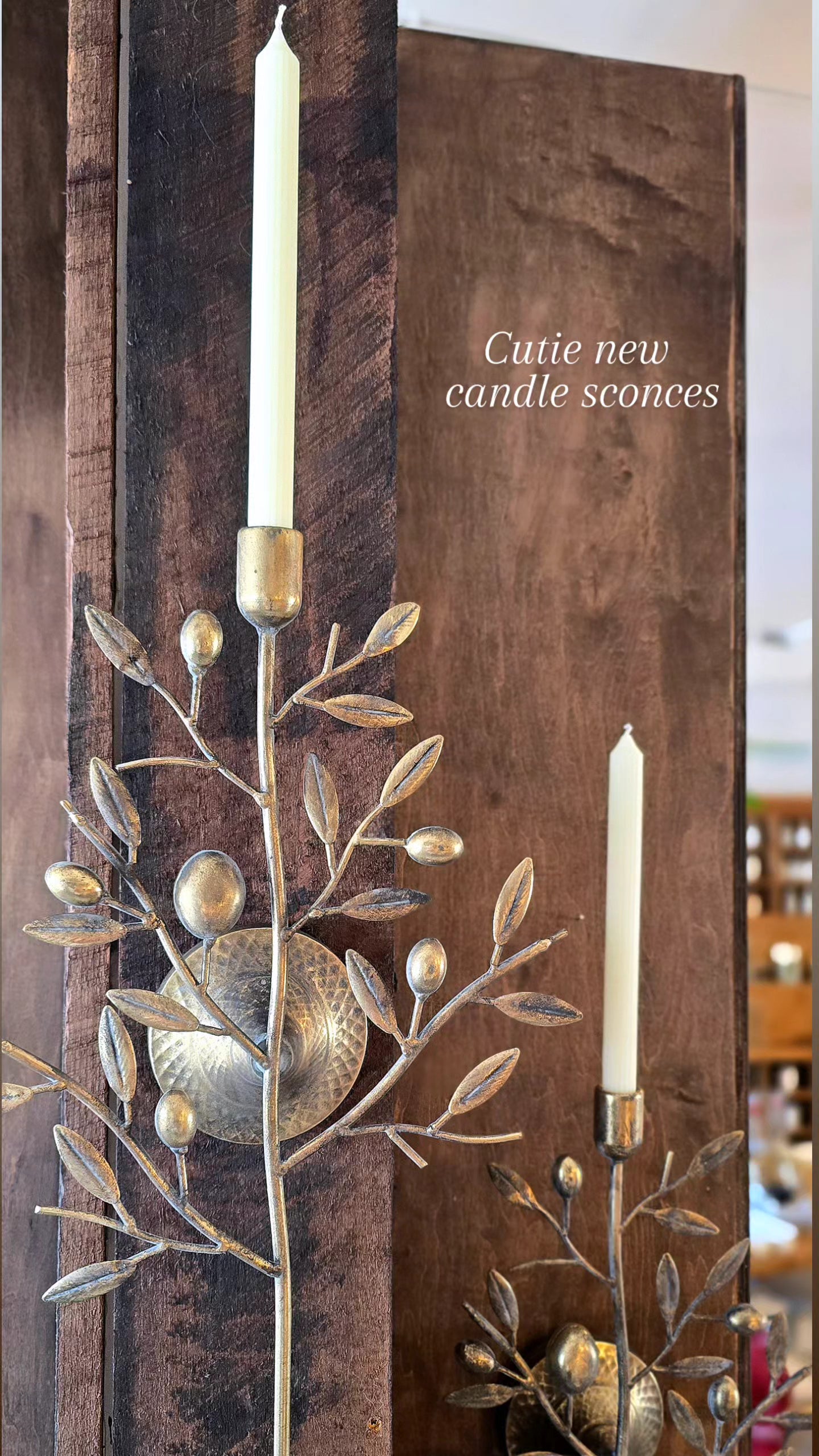 Fruit Tree Sconce