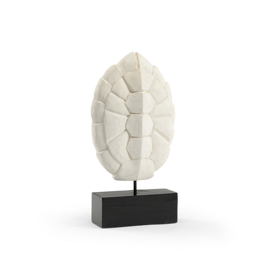 Carved Tortoise Shell