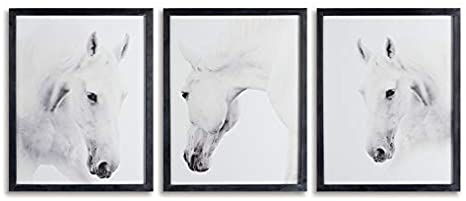 Wild Horses Photo Prints (each)
