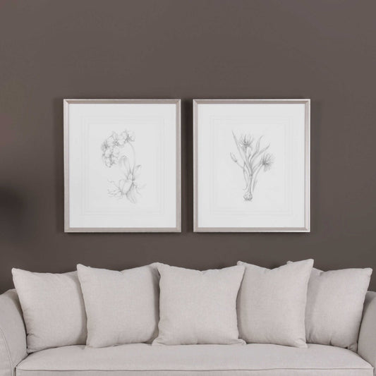 Botanical Sketches 1 & 2 Sold Individually