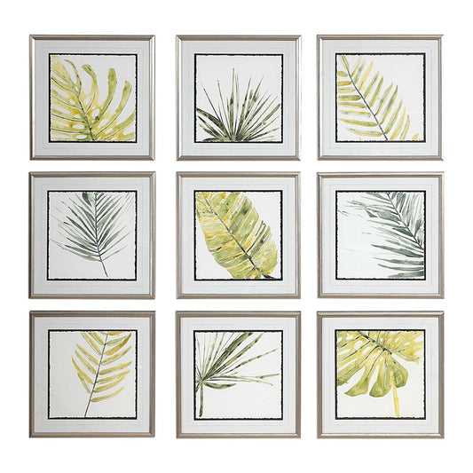 Verdant Impressions Framed Prints - Sold Individually