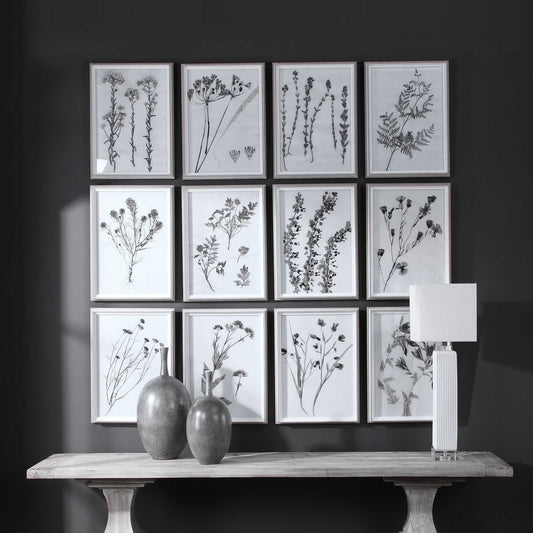 Contemporary Botanical Prints- Sold Individually