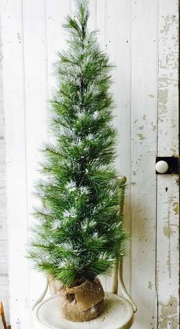 4' Pine Tree